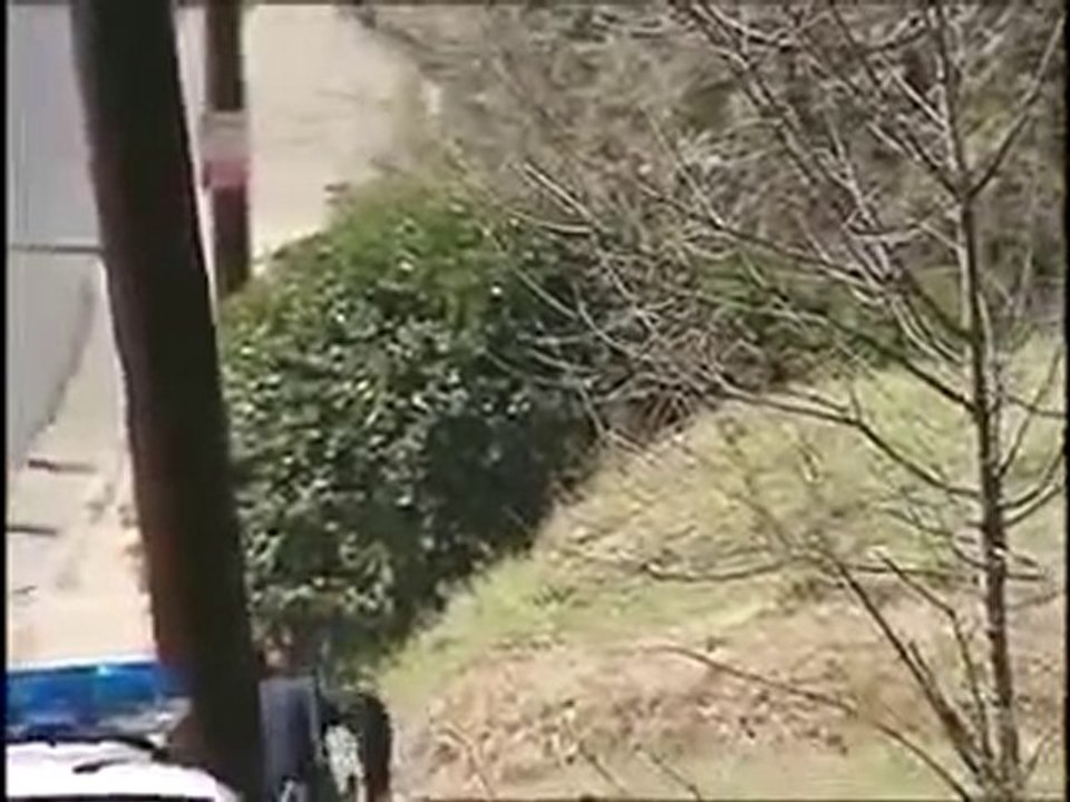 Ninja