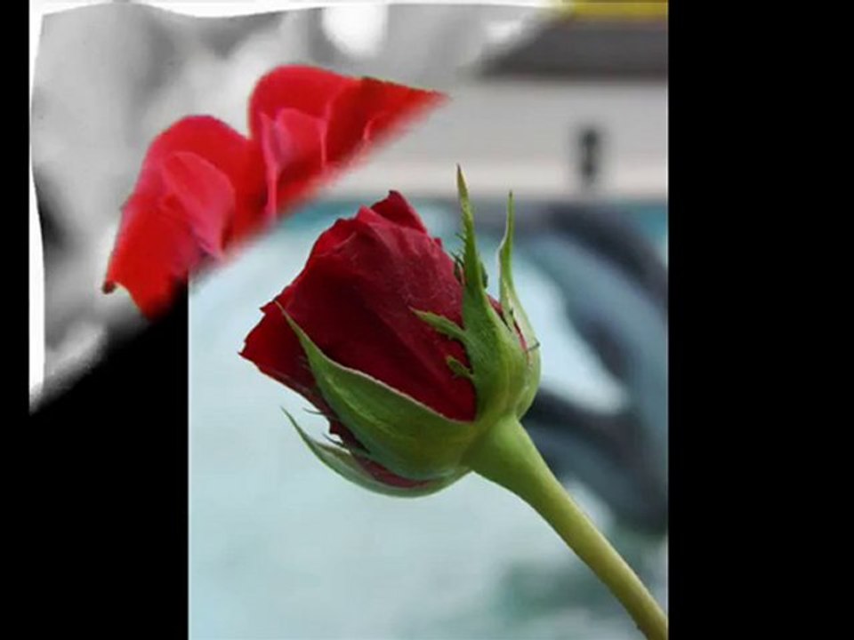 Gulamın Jı Mın Dura ... [fero]