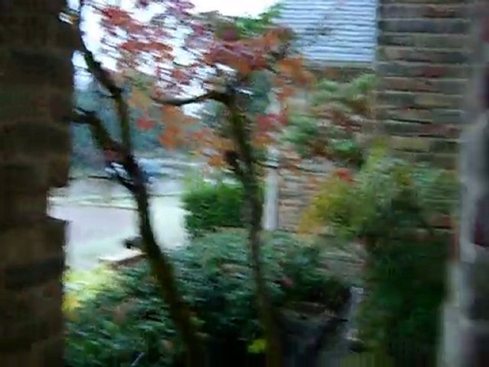 Snow In Texas