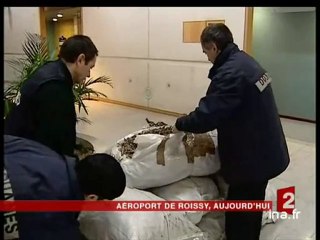 20 heures le journal : [émission du 23 Février 2005]