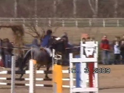 guizmo vidéo souvenir pour charlotte - cso sans fautes