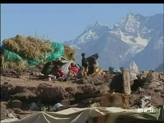 20 heures le journal : [émission du 2 Novembre 2005]