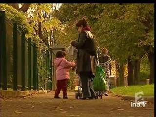 20 heures le journal : [émission du 8 Novembre 2005]