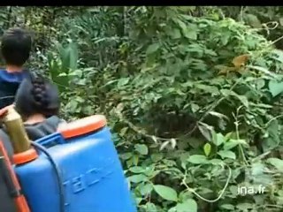 20 heures le journal : [émission du 7 janvier 2006]