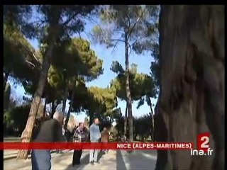 20 heures le journal : [émission du 11 Février 2006]