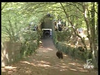 20 heures le journal : [émission du 6 Mai 2006]