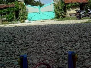 Embarké TAMIYA THE BIGWIG RC 1/10 4WD