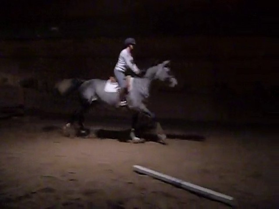 Kathleen + Paddington, aka Bear, oct. 22, 2010 warm up 2