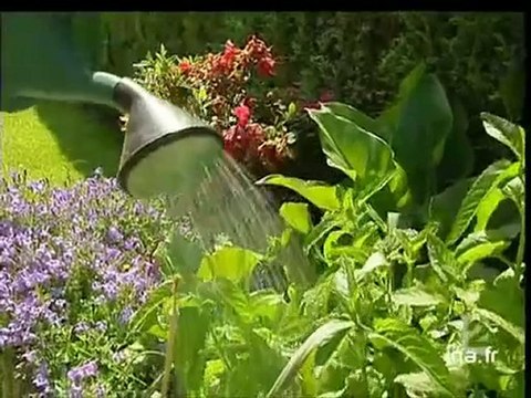 20 heures le journal : [émission du 18 juin 2006]