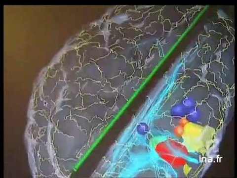 20 heures le journal : [émission du 5 Août 2006]