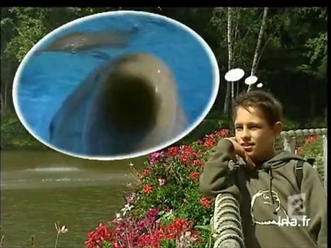 20 heures le journal : [émission du 19 Août 2006]