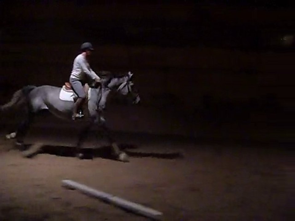 Kathleen + Paddington, aka Bear, oct. 22, 2010 - 3rd jumps