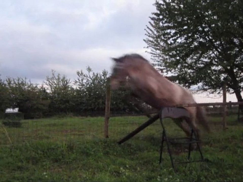 Séance saut du 09 septembre 2010