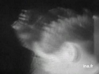 24 Heures sur la Une : émission du 27 novembre 1973