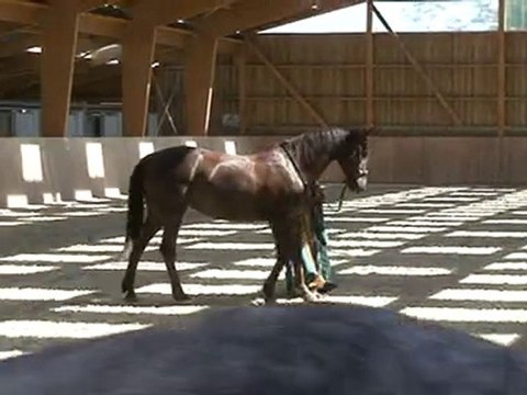 portes ouvertes, spectacle, compagnie des chimères