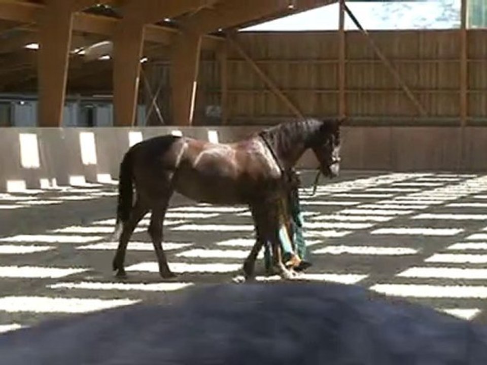 portes ouvertes, spectacle, compagnie des chimères
