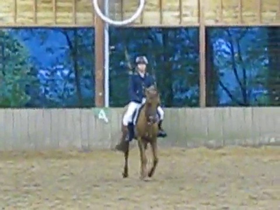 Dressage à la GM le 23.10 - Graciella & Jamélia