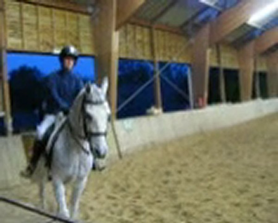 Dressage à la GM le 23.10 - Marion & Hambo