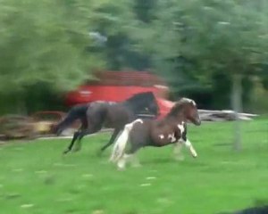 Bienvenue chez les fous ! =D