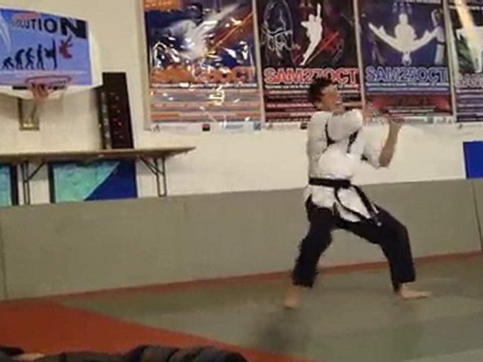 advance challenge ARTS MARTIAUX ARTISTIQUES 23/10/10 MAGNY.