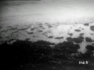 Information Première : émission du 12 juillet 1972