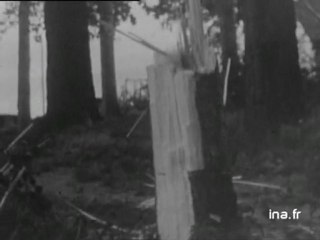 Information Première : émission du 19 août 1972