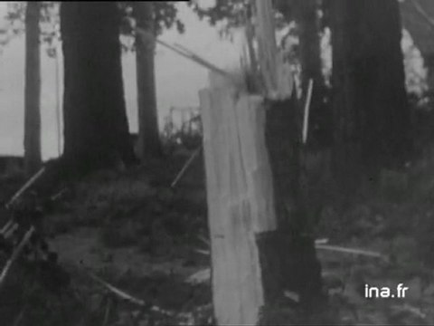 Information Première : émission du 19 août 1972