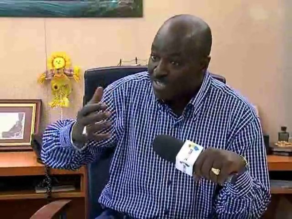 Son Excellence Papa Cheikh Saadibou Fall ( Ambassadeur )