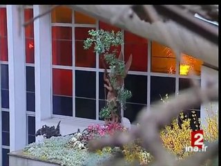 20 heures : [émission du 29 mars 2007]