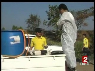 20 heures : [émission du 16 janvier 2007]