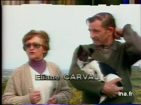 JA2 20H : émission du 15 mai 1981