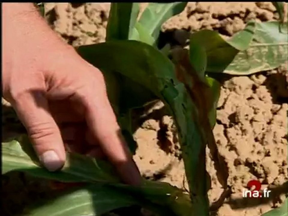 Ja2 20h émission du 19 juin 1998