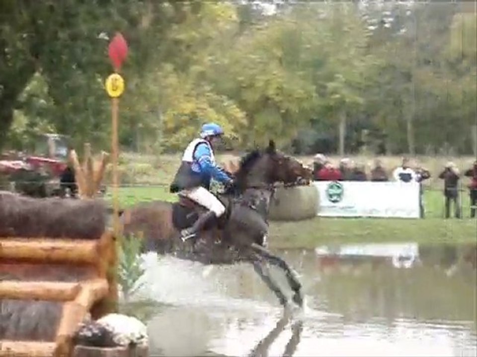 Mondial du Lion d' Angers-oct 2010