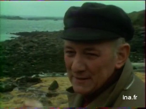 IT1 20H : émission du 25 mars 1978