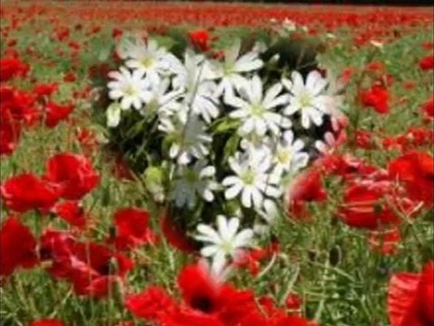 ÖMRÜMÜZÜN BAHARI BİRLİKTE GEÇSİN...