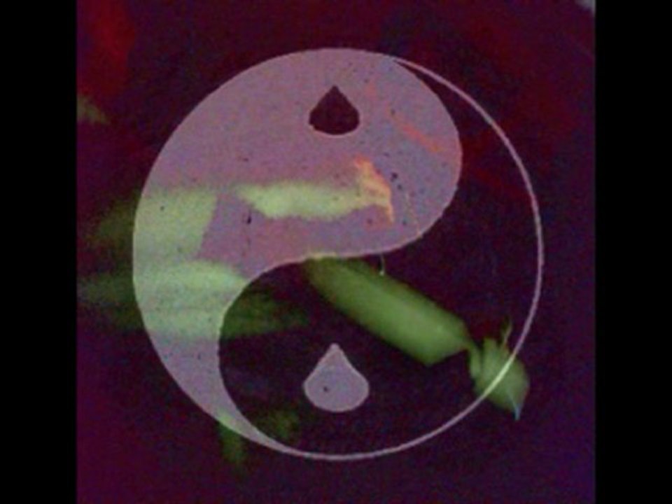 Crying Yang - Reverb1