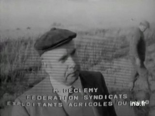 JT 20H : émission du 9 novembre 1974