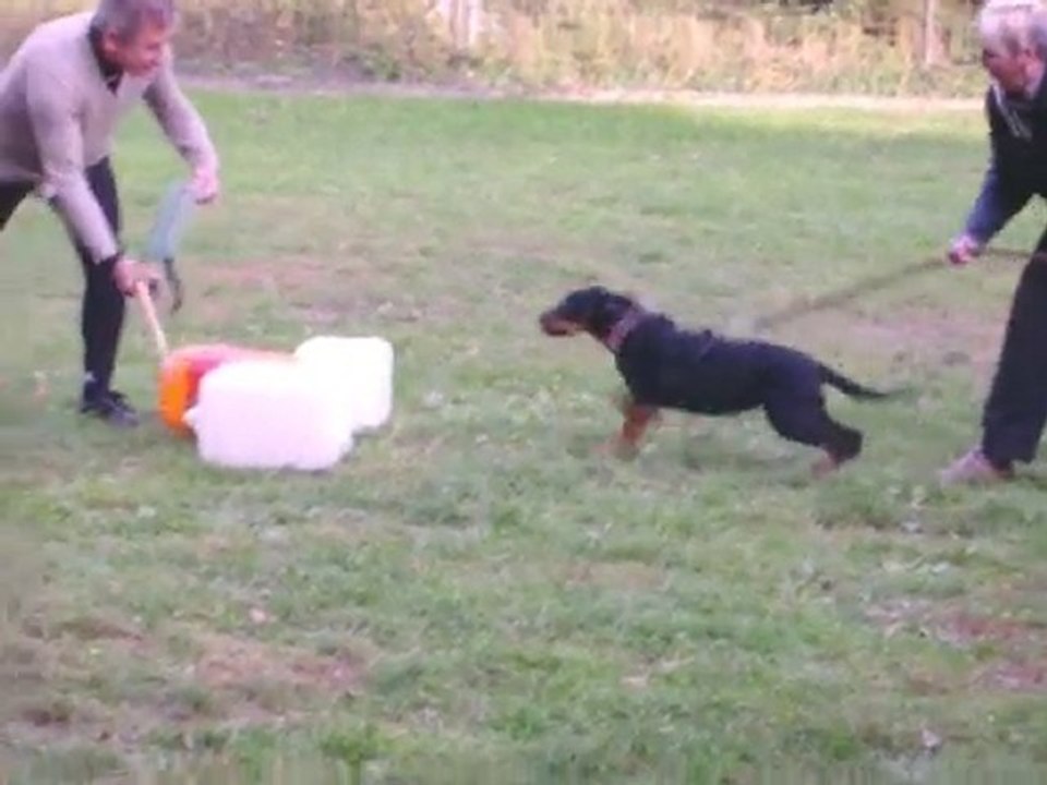 fuertès de vag-ner's mémory, 3 mois, entrainement.