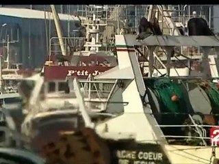 20 heures : [émission du 19 mai 2008]