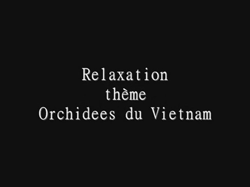 Relaxation thème Orchidees du Vietnam