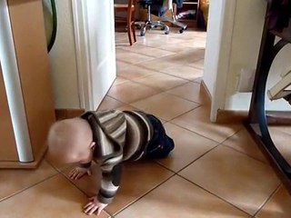 Antoine à 4 pattes