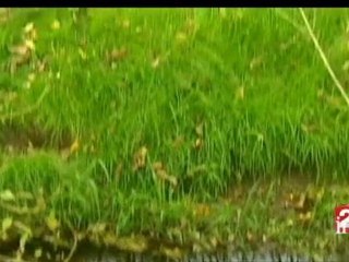 20 heures : [émission du 8 Septembre 2008]