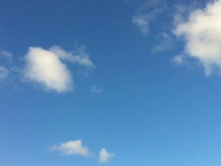 trainer d 'Alex dimanche 24/10