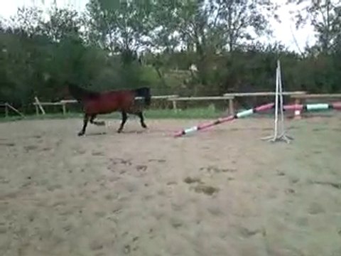 Séance du 23 octobre saut en liberté 1