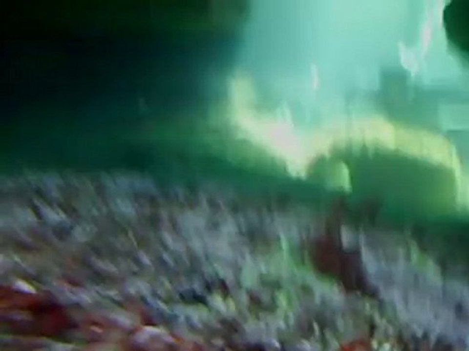 chasse sous marine CANNES 2010  N°2