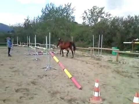 Séance du 23 octobre saut en liberté 2