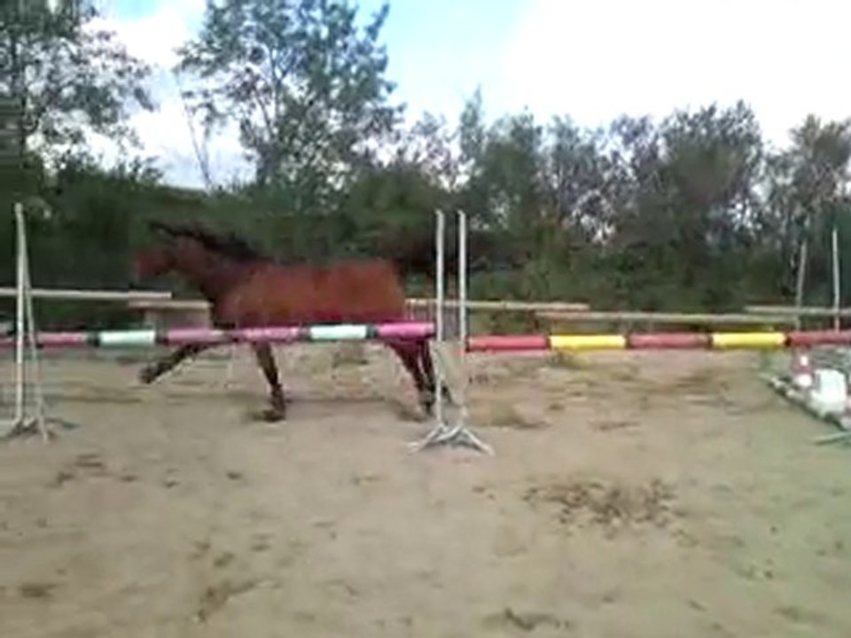 Séance du 23 octobre saut en liberté 3