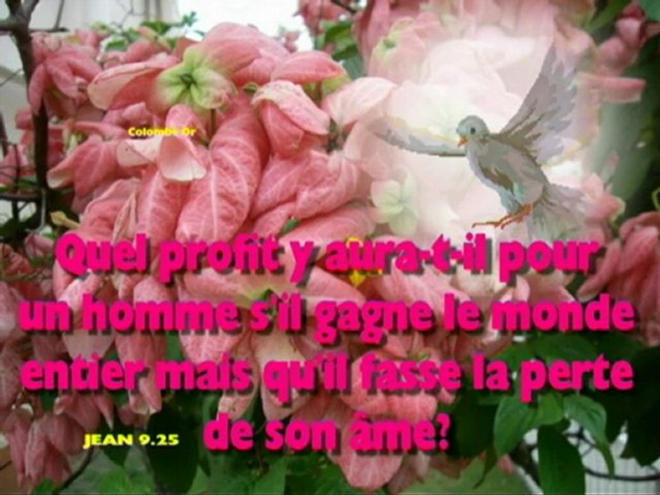 AT THE CROSS DIEU EST PUISSANT ET GRAND AVEC HERVE