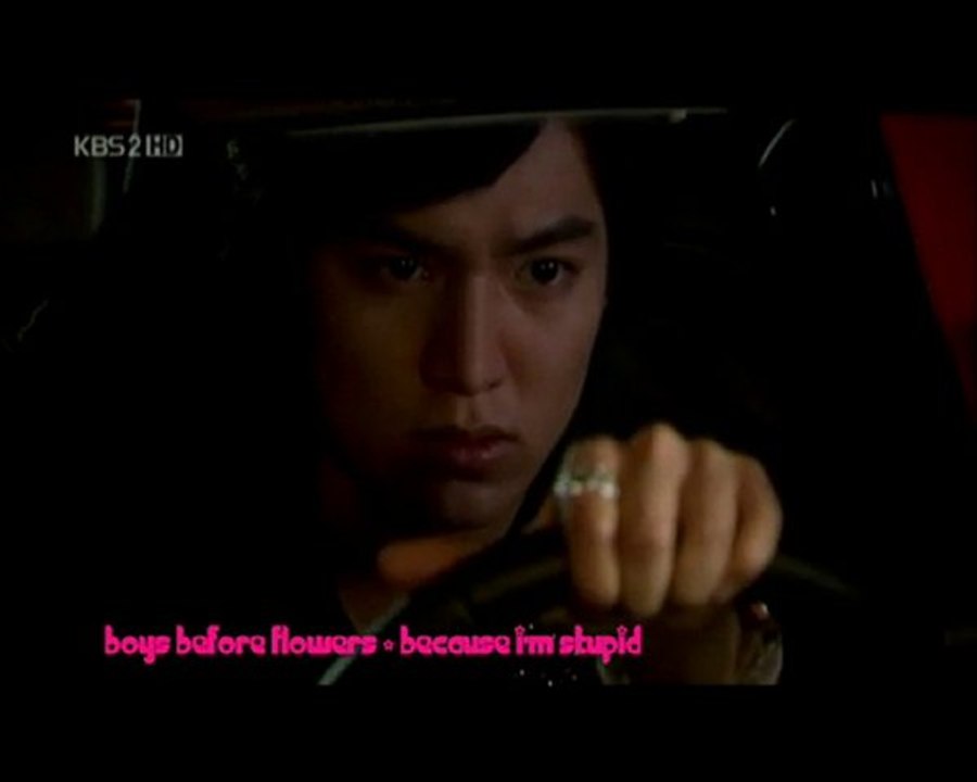 Boys Before Flowers - Because I'm Stupid [ONLY LEE MIN HO]