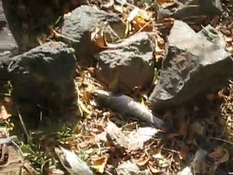 Bingöl Deresi Balık Avı 2